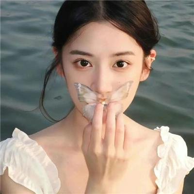 凝视动物的100种方式