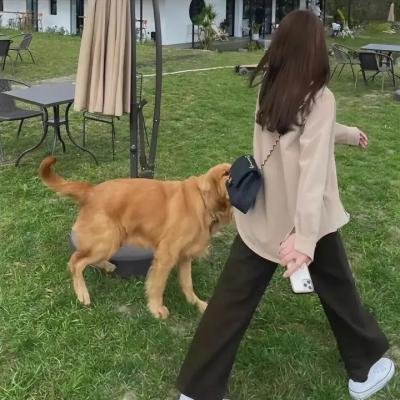 下一个圣诞节见